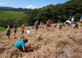 LL_Volunteer_plantin1.png